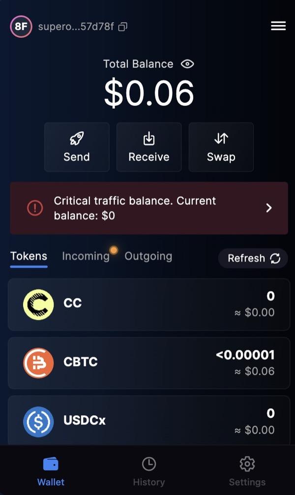 Canton wallet interface